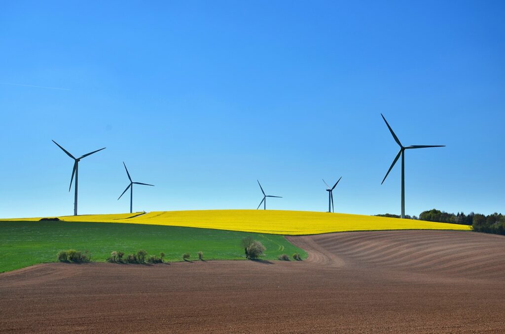 The Impact of Green technology. Green technology is not limited to developed countries; it has a global impact. 